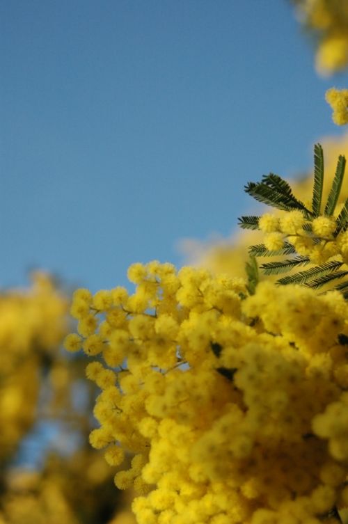 Fotografia de Quicksandahead  - Galeria Fotografica: color - Foto: 