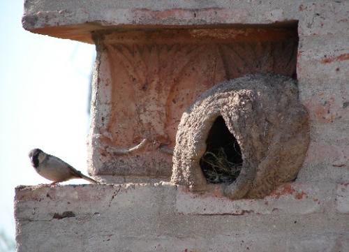 Fotografia de  - Galeria Fotografica: Candonga y Bombinhas - Foto: ocupa