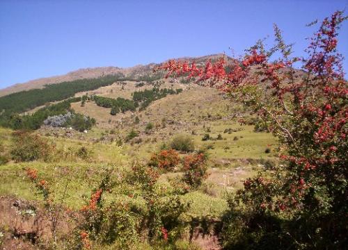 Fotografia de  - Galeria Fotografica: al otro lado del r�o - Foto: Villa Alpina