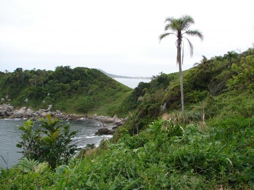 Fotografia de  - Galeria Fotografica: Candonga y Bombinhas - Foto: balcon