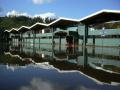 Fotos de Psicofotografia -  Foto: Inundaciones 2006 Concepcin - tERMINAL DE BUSES 2