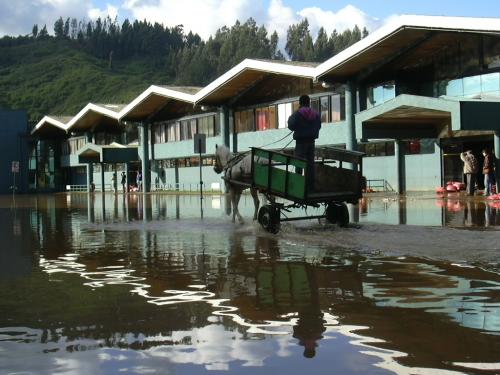 Fotografia de Psicofotografia - Galeria Fotografica: Inundaciones 2006 Concepcin - Foto: Terminal y carretas