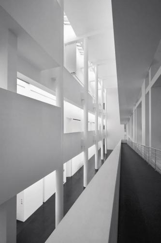 Fotografia de Jorge - Galeria Fotografica: Macba - Foto: 