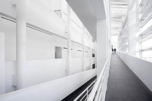 Fotografia de Jorge - Galeria Fotografica: Macba - Foto: 