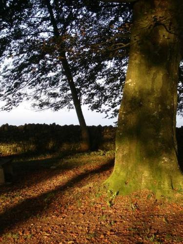 Fotografia de eightball - Galeria Fotografica: Fotos con digital compacta - Foto: 