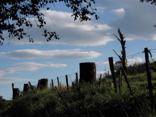 Fotografia de eightball - Galeria Fotografica: Fotos con digital compacta - Foto: 