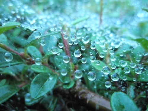 Fotografia de eightball - Galeria Fotografica: Fotos con digital compacta - Foto: 