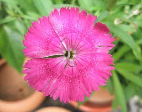 Fotografia de eightball - Galeria Fotografica: Fotos con digital compacta - Foto: 