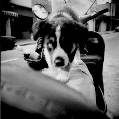 Fotografia de Nueva Dimension - Galeria Fotografica: Retratos - Foto: 