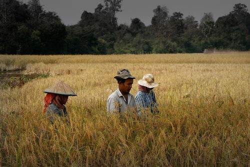 Fotografia de OSORIOartist - Galeria Fotografica: Camboya - Foto: 