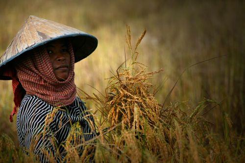 Fotografia de OSORIOartist - Galeria Fotografica: Camboya - Foto: 