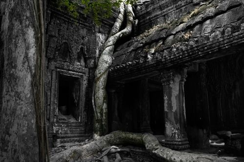 Fotografia de OSORIOartist - Galeria Fotografica: Camboya - Foto: 