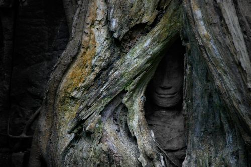 Fotografia de OSORIOartist - Galeria Fotografica: Camboya - Foto: 