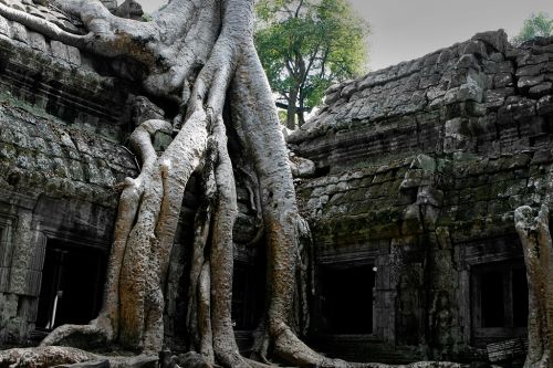 Fotografia de OSORIOartist - Galeria Fotografica: Camboya - Foto: 