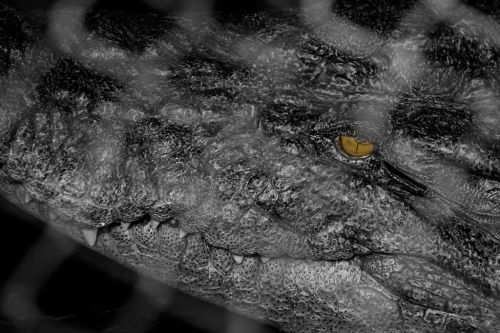 Fotografia de OSORIOartist - Galeria Fotografica: Camboya - Foto: 