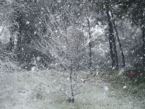 Fotografia de cris - Galeria Fotografica: nieve - Foto: 