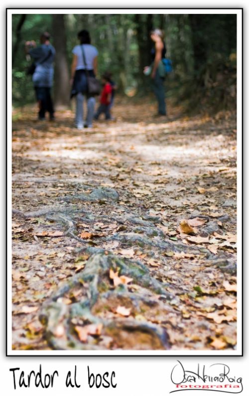 Fotografia de Oscar Herrero Roig - Galeria Fotografica: Varios - Foto: 