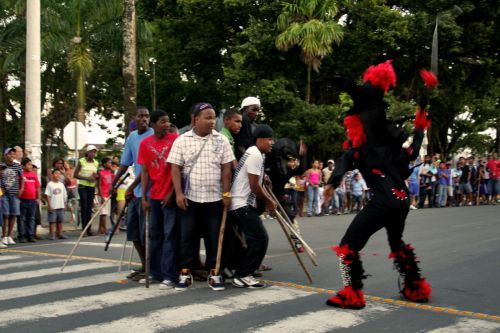 Fotografia de Mente Nativa - Galeria Fotografica: toritos en mexico - Foto: 
