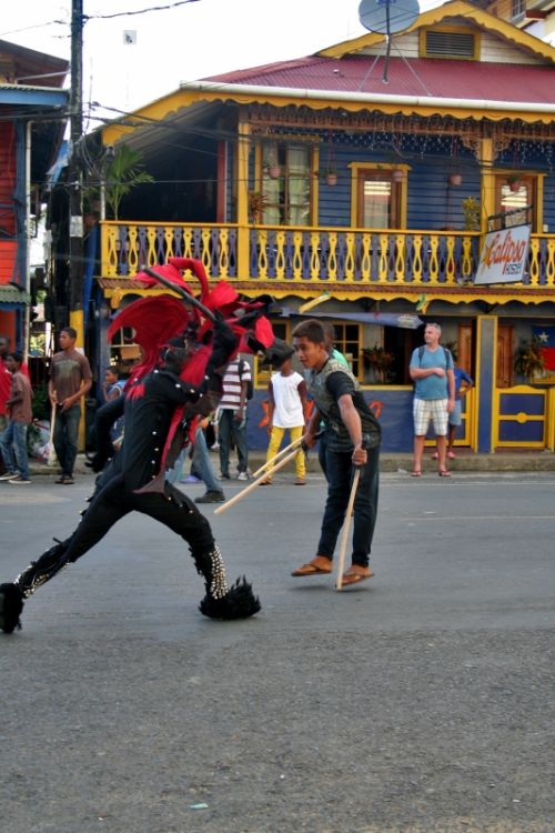Fotografia de Mente Nativa - Galeria Fotografica: toritos en mexico - Foto: 