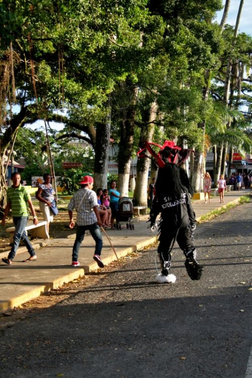 Fotografia de Mente Nativa - Galeria Fotografica: toritos en mexico - Foto: 