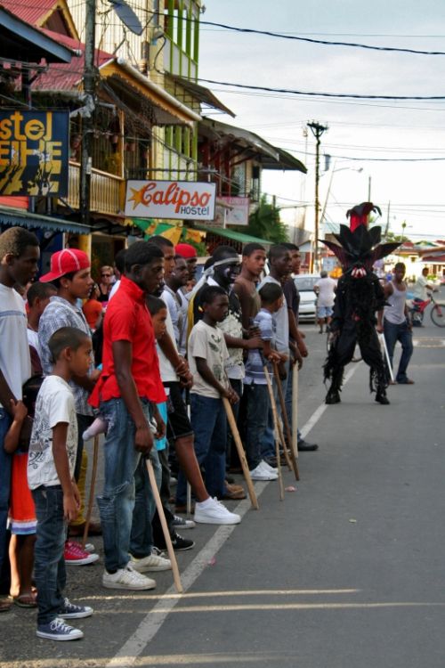 Fotografia de Mente Nativa - Galeria Fotografica: toritos en mexico - Foto: 