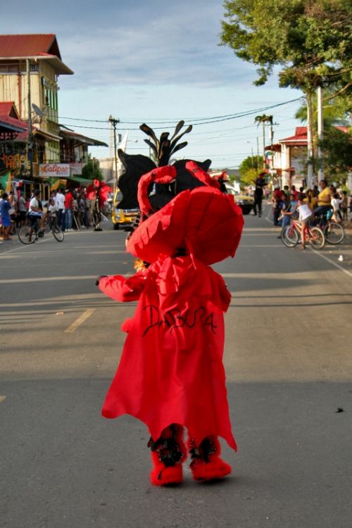 Fotografia de Mente Nativa - Galeria Fotografica: toritos en mexico - Foto: 