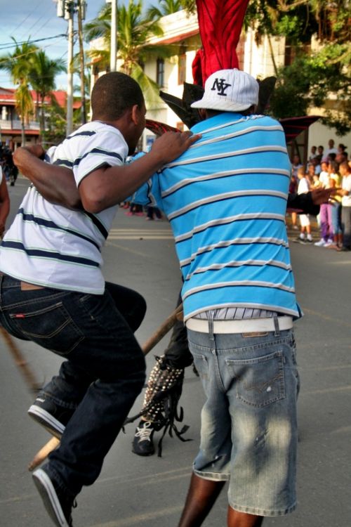 Fotografia de Mente Nativa - Galeria Fotografica: toritos en mexico - Foto: 