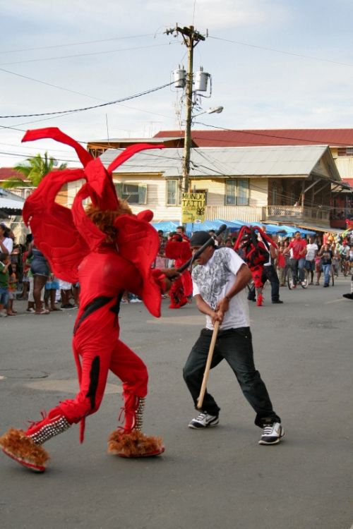 Fotografia de Mente Nativa - Galeria Fotografica: toritos en mexico - Foto: 