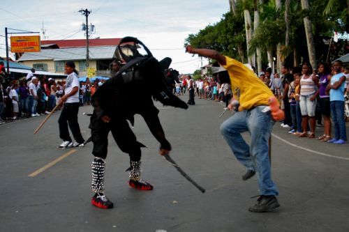 Fotografia de Mente Nativa - Galeria Fotografica: toritos en mexico - Foto: 