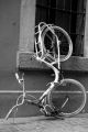 Fotos de Gonzalo Barroso Pea -  Foto: series_bicicletas - 