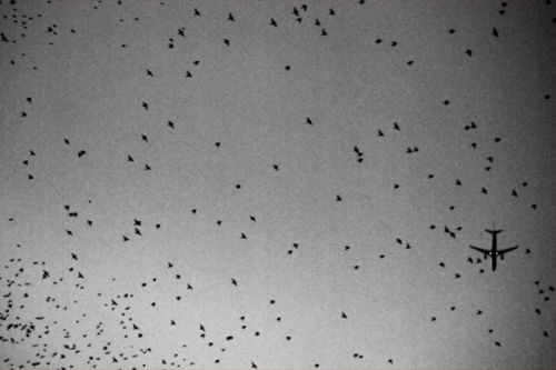 Fotografia de Gonzalo Barroso Pea - Galeria Fotografica: series_contraluces - Foto: 