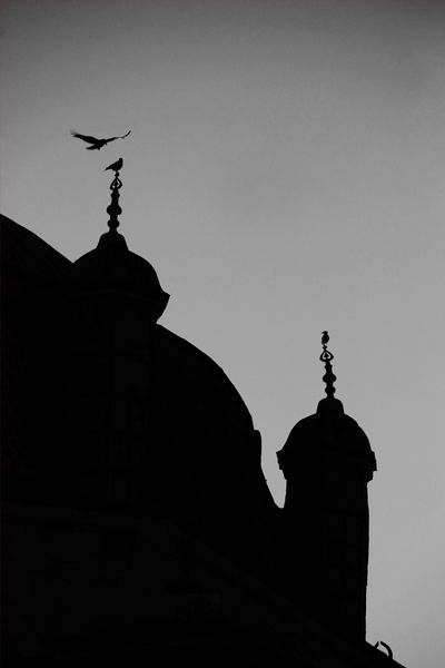 Fotografia de Gonzalo Barroso Pea - Galeria Fotografica: series_contraluces - Foto: 