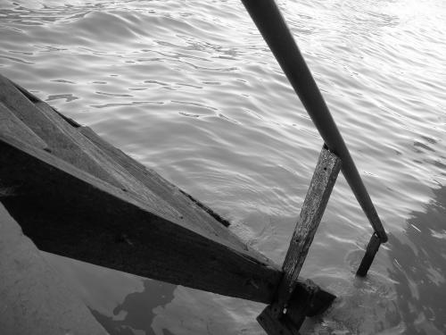 Fotografia de Aspix - Galeria Fotografica: Un viaje al Tigre - Foto: Escalera al ro