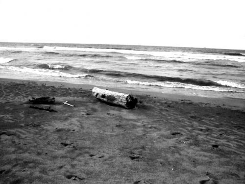 Fotografia de KS Desings - Galeria Fotografica: Pensamientos Vagos - Foto: Lejana