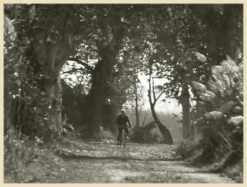 Fotografia de Gimnez - Galeria Fotografica: En el campo - Foto: Hombre en bicicleta