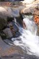 Fotos de Gardien Lune -  Foto: Montseny (paisajes) - little falls