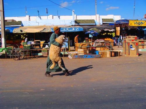 Fotografia de hectormartinez.info - Galeria Fotografica: Marruecos 2 - Foto: 