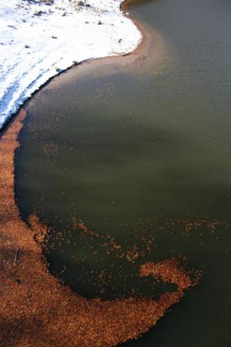Fotografia de Gardien Lune - Galeria Fotografica: Montseny (paisajes) - Foto: doble color