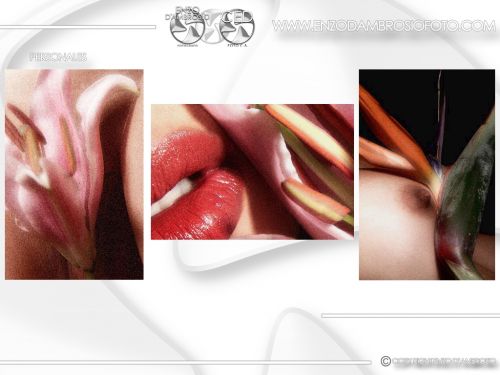 Fotografia de Enzo D'Ambrosio Foto - Galeria Fotografica: Portafolio Personal - Foto: 