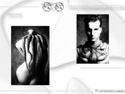 Fotografia de Enzo D'Ambrosio Foto - Galeria Fotografica: Portafolio Personal - Foto: 