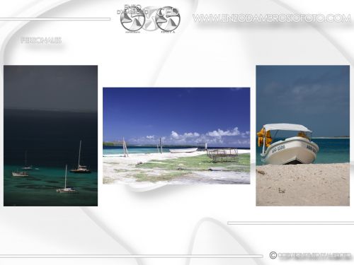 Fotografia de Enzo D'Ambrosio Foto - Galeria Fotografica: Portafolio Personal - Foto: 