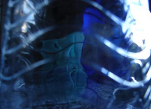 Fotografia de  - Galeria Fotografica: Acercamientos - Foto: Blu