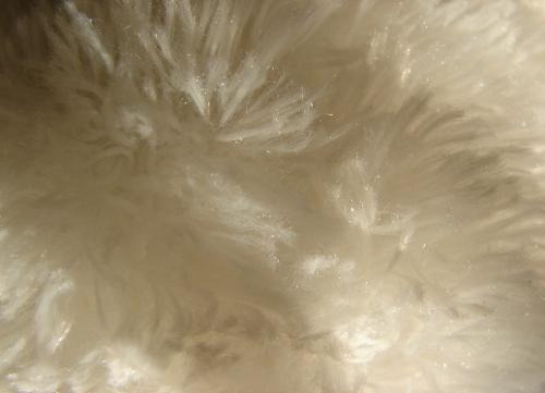 Fotografia de  - Galeria Fotografica: Acercamientos - Foto: peluche