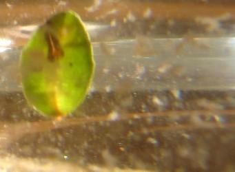 Fotografia de  - Galeria Fotografica: Acercamientos - Foto: solo