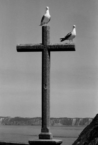Fotografia de imatgine.com - Galeria Fotografica: Algunas fotos en b/n - Foto: Gaviotas