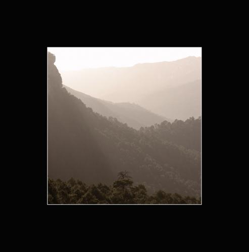 Fotografia de erkajita - Galeria Fotografica: cautivo de la baja andalucia. - Foto: aguila majestuosa