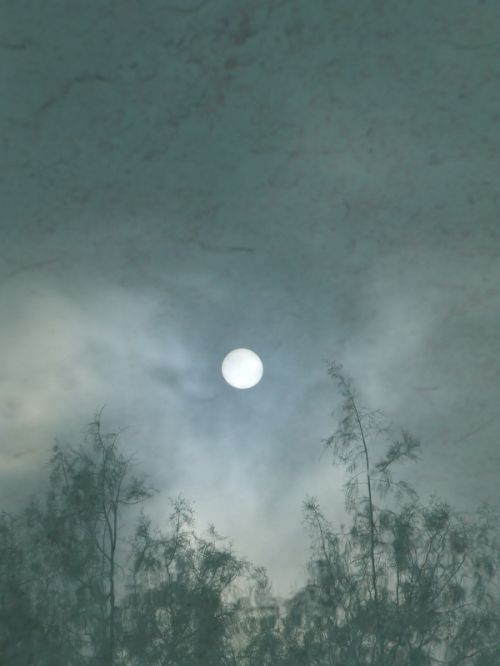 Fotografia de agus rodrguez - Galeria Fotografica: naturaleza - Foto: Sol cautivo por el agua