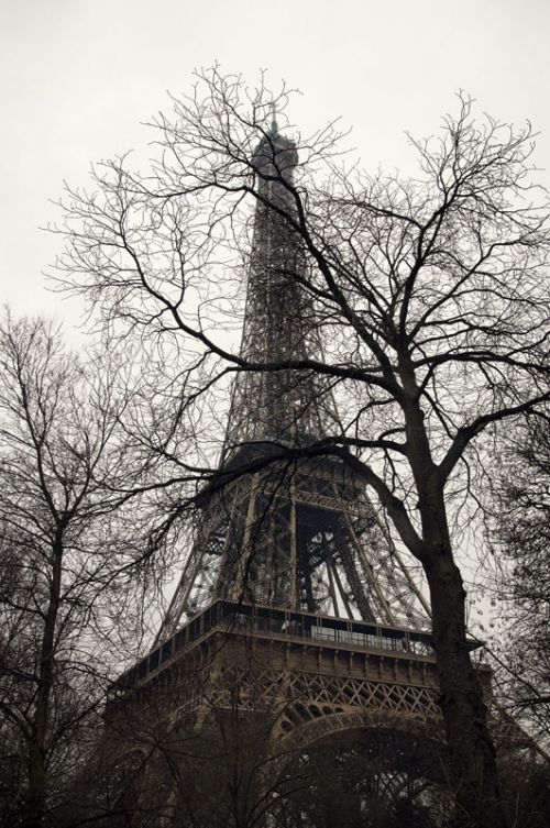 Fotografia de Luis Garcia Craus - Galeria Fotografica: Pars Pars - Foto: 