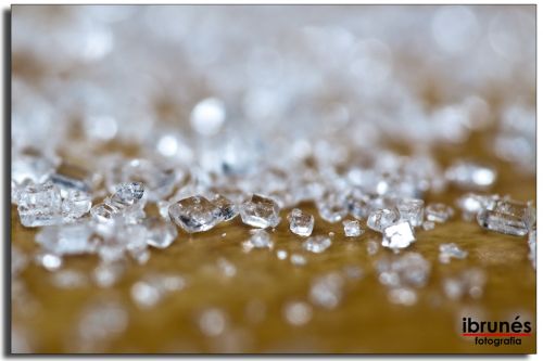 Fotografia de ibrunesfotografia - Galeria Fotografica: Macro - Foto: 