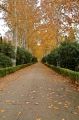 Fotos de penilo -  Foto: mis viajes - PASEO POR LOS JARDINES DE ARANJUEZ